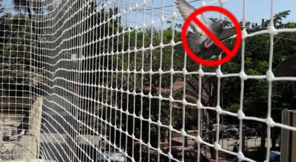 Pigeon Safety Nets in Hyderabad | Call 9966444849 for Price