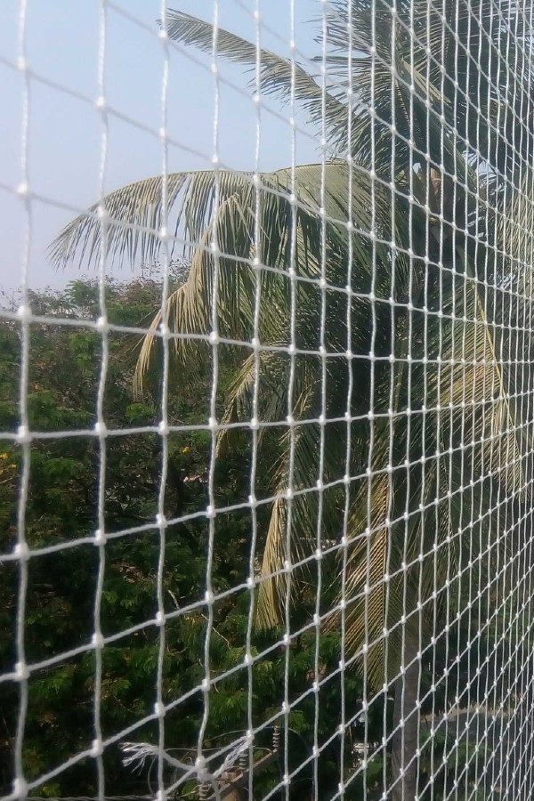 Bird Protection Nets In Hyderabad | Call 9966444849 for Near Me