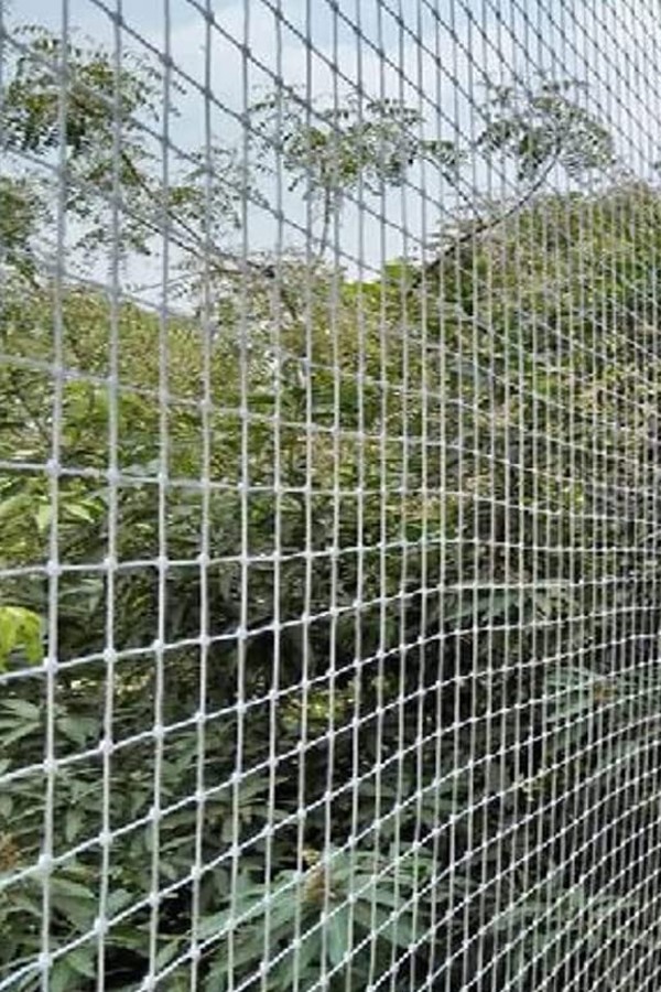 Pigeon Safety Nets In Hyderabad | Call 9966444849 for Netting